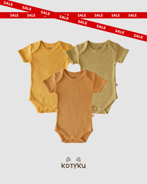 fall collection (4).png