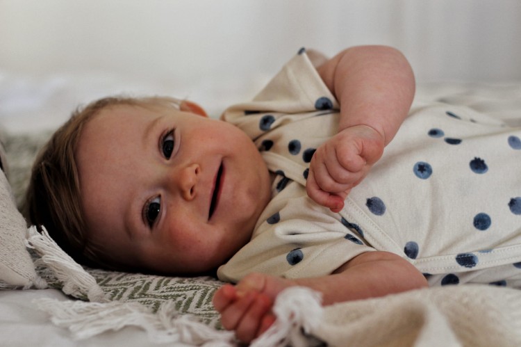 Body kopertowe z krótkim rękawem Borówkowy Poranek